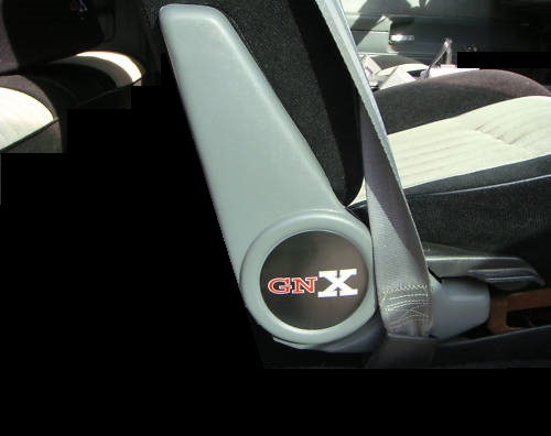 Buick GNX Bucket Seat Trim  Decals